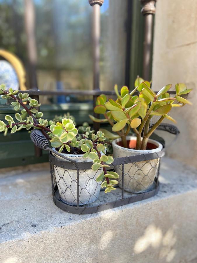 Le Jardinet De Rosa Maison De Village 伊加里雷斯 外观 照片